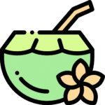 Coconut and plumeria illustration